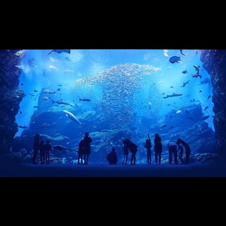 仙台海洋森林水族館