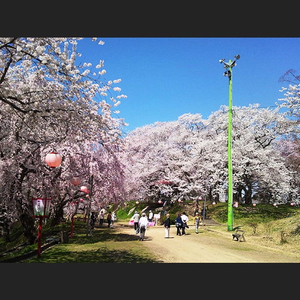 烏帽子山公園