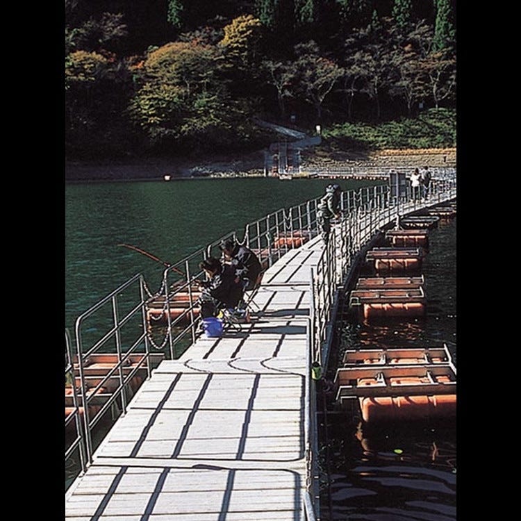 奥多摩湖 高尾山 溪谷 溪流 河流 湖泊 Live Japan 日本的旅行 旅游 体验向导