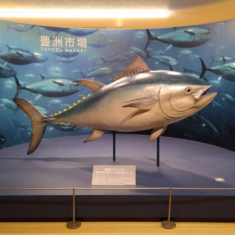 豐洲市場