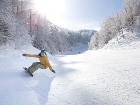 YABUHARA高原滑雪场