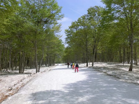 奥只见丸山滑雪场
