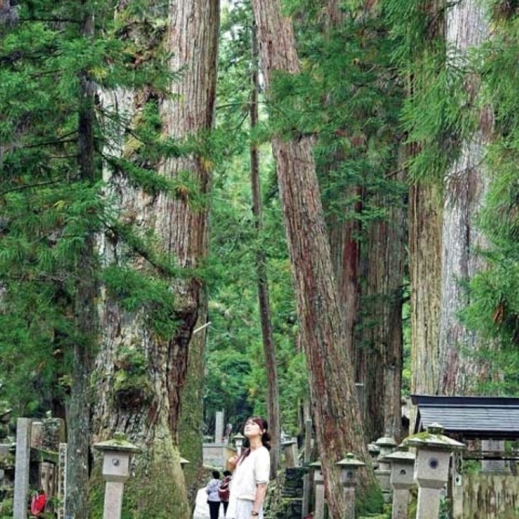 高野山奥之院 弘法大師御廟 (和歌山・高野山|寺院) - LIVE JAPAN (日本