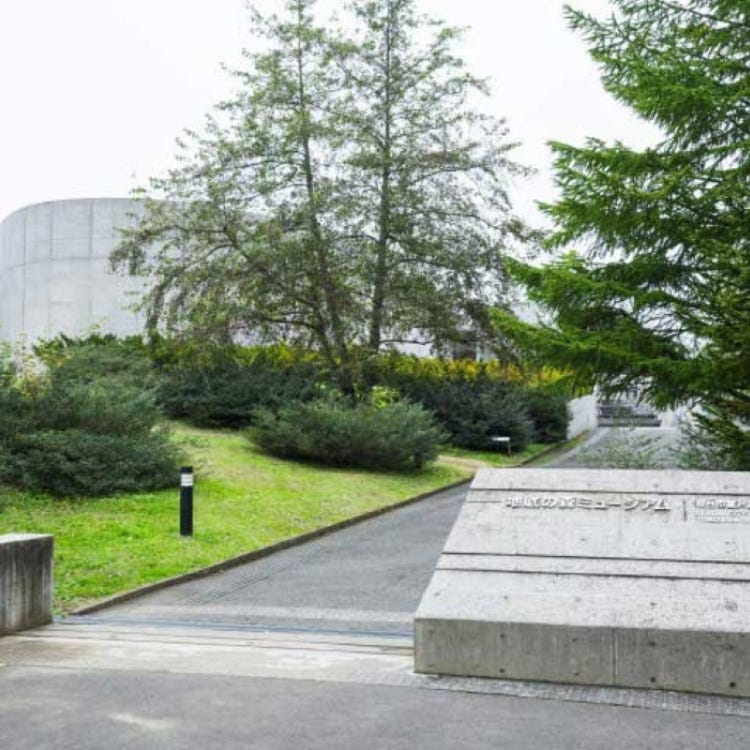 地底之森博物馆 仙台市富泽遗迹保存馆 仙台 松岛 历史博物馆 Live Japan 日本的旅行 旅游 体验向导