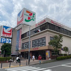 BicCamera Ito-Yokado Tama Plaza Store