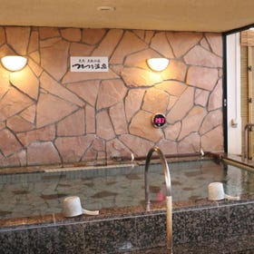 東京荻窪天然温泉 なごみの湯