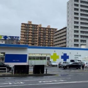 SATUDORA Toyohira 3-Jo Store