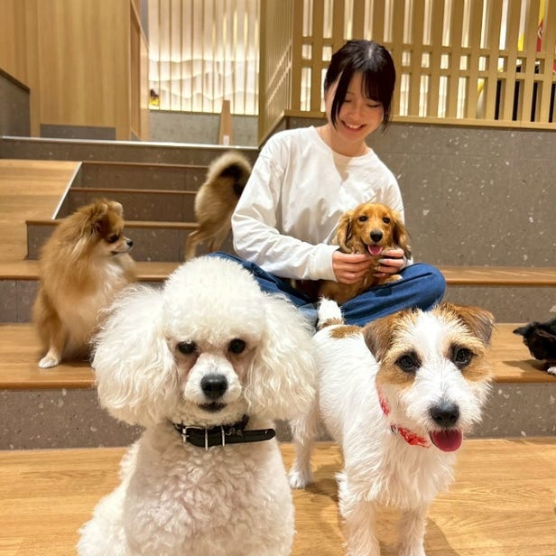 狗狗咖啡館Rio 京都店