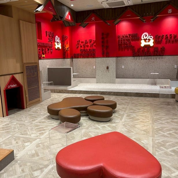 狗狗咖啡館Rio 京都店