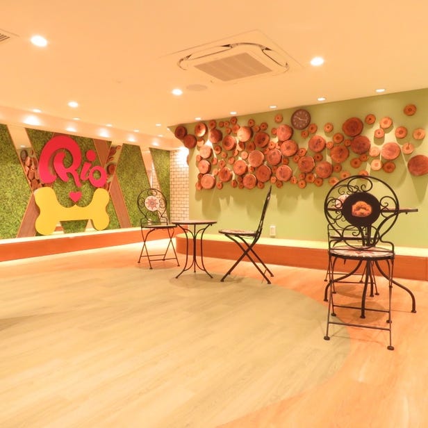 Puppy Café Rio Shinjuku