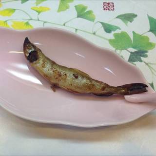 北海道直送の生ししゃも