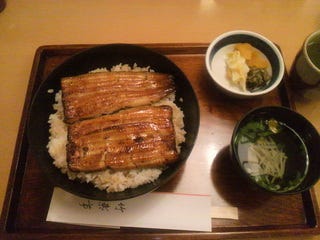 うなぎ中入丼