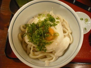 山かけうどん