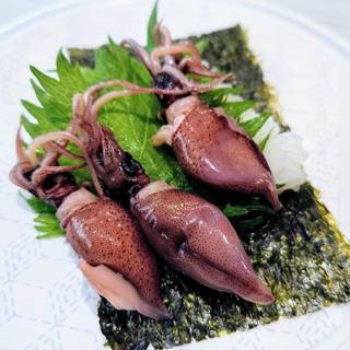 富山県産釜揚げ　ほたるいかつつみ