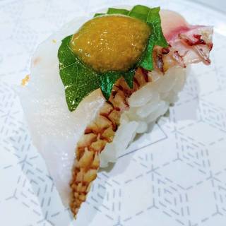 活〆まだい　うにの特製ジュレのせ