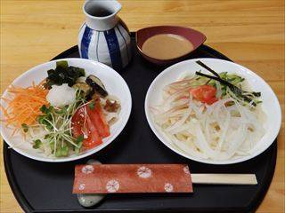 夏の冷やしうどん