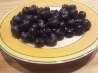 ただのブルーベリー