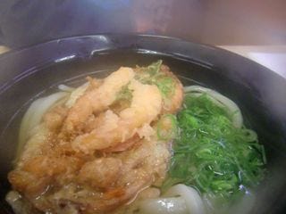 かき揚げうどん