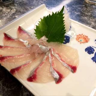 シマアジのお刺身