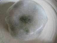 焼ニラまんじゅう