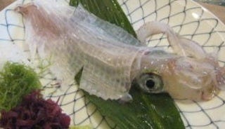 いか活造り定食