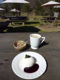 レアチーズケーキ