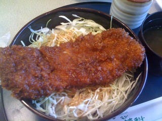 ソースカツ丼