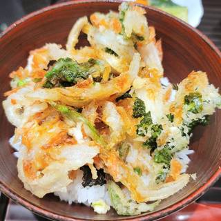 桜海老と新玉葱のかき揚げ丼