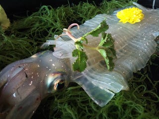 イカ活き造り