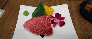 シャトーブリアン