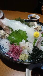 烏賊のお造り