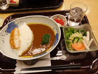 嘉瀬川ダムカレーセット