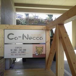 Co-Necco の画像