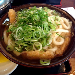 ごぼう天うどん