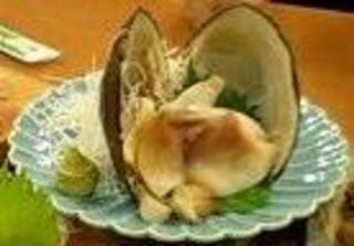 活ホッキ貝刺身