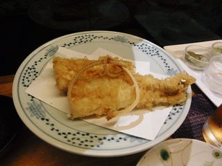 活穴子
