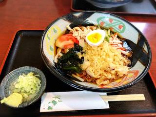 冷やしたぬきうどん