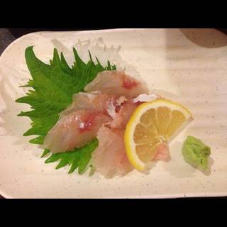 コチの刺身