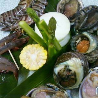 おまかせ炭火焼き七厘