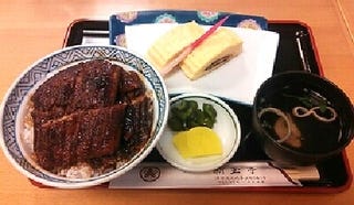 うなぎ丼と鰻巻き卵