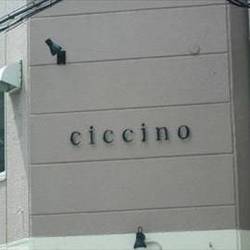 Ciccino の画像