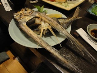 トビウオ一夜干し