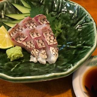 石川県漁連直送　鯛の刺身