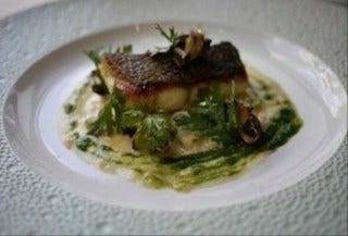 天然鮮魚のインスピレーション