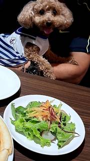 ランチのサラダ
