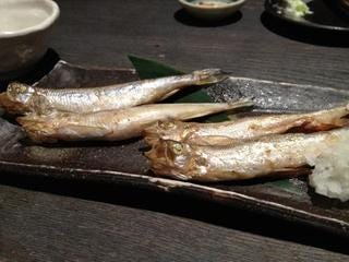 北海道鵡川　本ししゃも