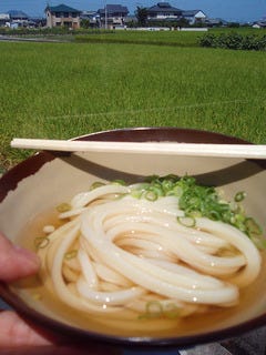 ぶっかけうどん