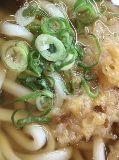 かけうどん