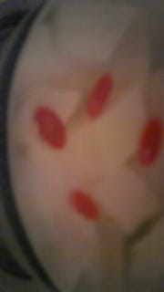 夢ごこち杏仁豆腐