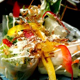 挽肉とトマト、チーズのスパイシー生春巻き